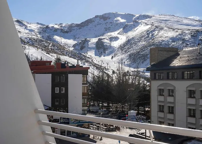 Snow 塞拉内华达